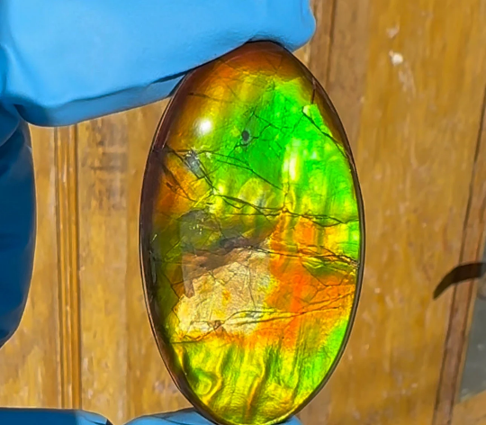 Ammolite Imperial Double-Sided NATURAL Polished Freeform Stone Collector's Gemstone Polished/Coated  IMP93