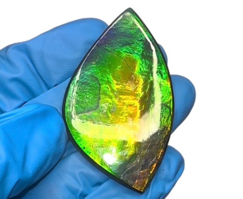 2.16" Ammolite NATURAL Hand POLISHED Large 55x31mm Loose Gemstone,Home decor,Display gem FFNT181
