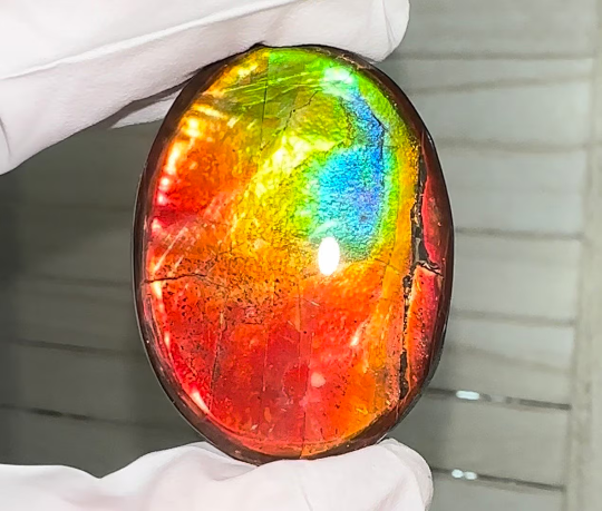 Ammolite Imperial Double-Sided NATURAL Polished Freeform Stone Collector's Gemstone 42x31mm, Polished/Coated IMP100