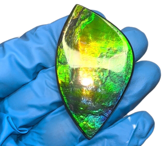 2.16" Ammolite NATURAL Hand POLISHED Large 55x31mm Loose Gemstone,Home decor,Display gem FFNT181