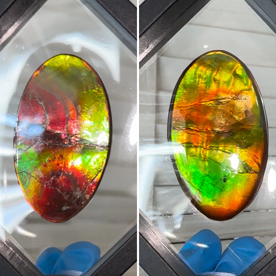 Ammolite Imperial Double-Sided NATURAL Polished Freeform Stone Collector's Gemstone Polished/Coated  IMP93