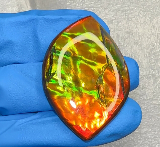 Loose Stone, Ammolite,Freeform, Cabochon 36x25mm, Loose gemstone Canadian Ammonite,wrapping jewellery,Bright! High grade FC-132-1