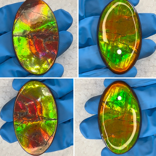 Ammolite Imperial Double-Sided NATURAL Polished Freeform Stone Collector's Gemstone Polished/Coated  IMP93