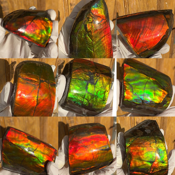 5 pieces set! Double-sided Keel Edge Ammolite Display gem BRIGHT! Handheld Specimen ,Fossil,Fengshui,Metaphysical,Home Decor CS-243