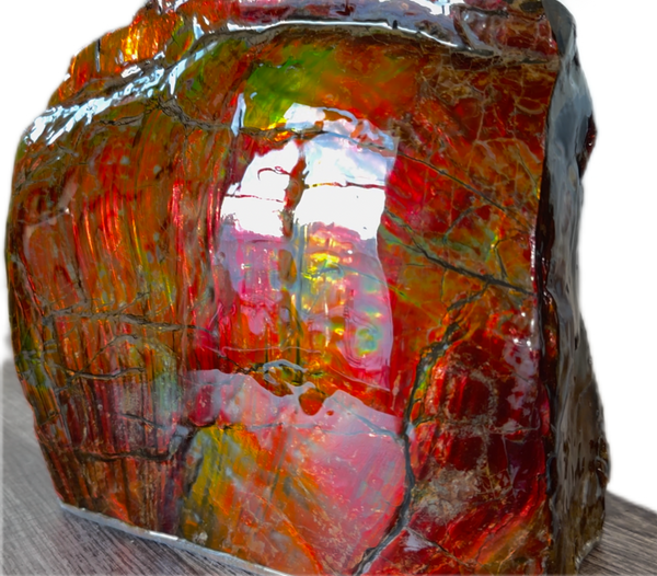 Ammolite Display Gem! , Collector's Gem, Handheld Specimen  Keel section piece,Double-sided,Fossi,Metaphysical,Home Decor,　CS-254 FREE SHIPPING
