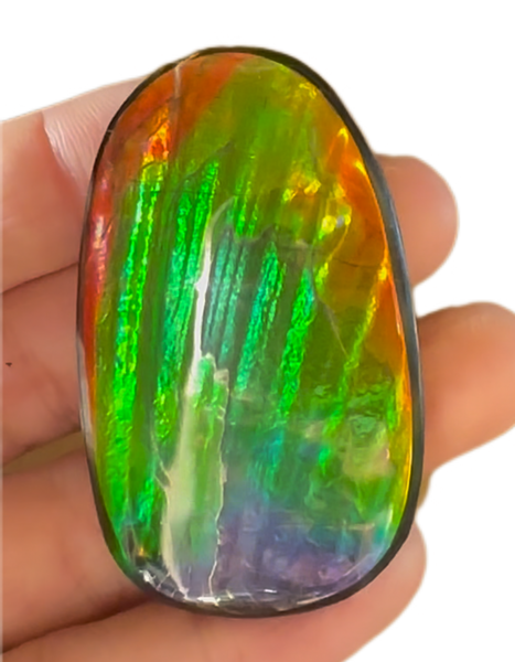 HIgh grade Ammolite with a horn, NATURAL Hand POLISHED, Loose stone  54x32.4mm Loose Gemstones,gemstone FFNT195 Free shipping!