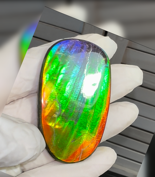 HIgh grade Ammolite with a horn, NATURAL Hand POLISHED, Loose stone  54x32.4mm Loose Gemstones,gemstone FFNT195 Free shipping!