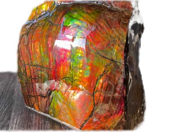Ammolite Display Gem! , Collector's Gem, Handheld Specimen  Keel section piece,Double-sided,Fossi,Metaphysical,Home Decor,　CS-254 FREE SHIPPING