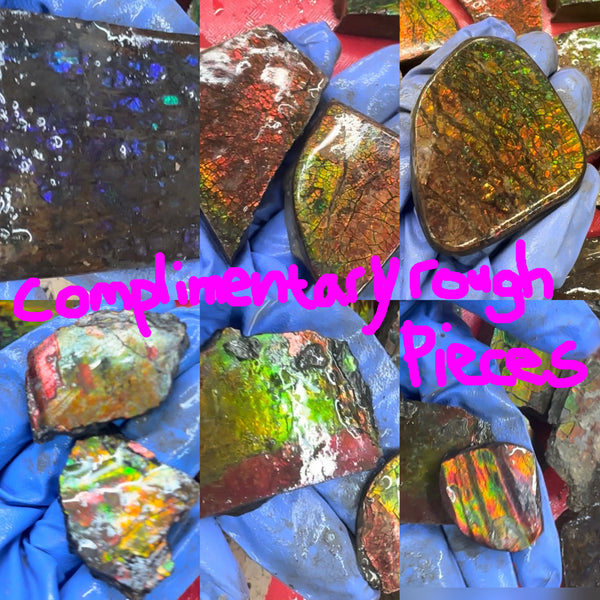 Make an offer! Rough Ammolite Materials – Collector’s Lot with Bonus Pieces,Free shipping!
