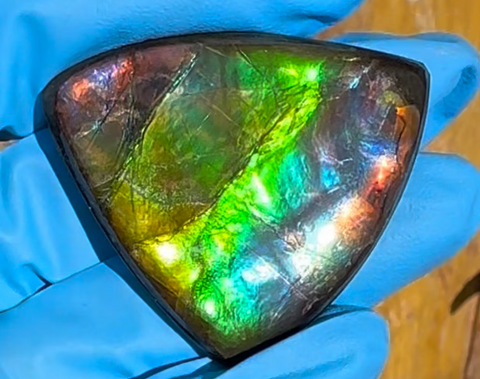 Loose Stone, Ammolite,Freeform, Cabochon 43x36mm, Loose gemstone Canadian Ammonite,wrapping jewellery FC-146
