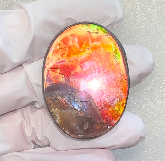 Ammolite Imperial Double-Sided NATURAL Polished Freeform Stone Collector's Gemstone 42x31mm, Polished/Coated IMP100