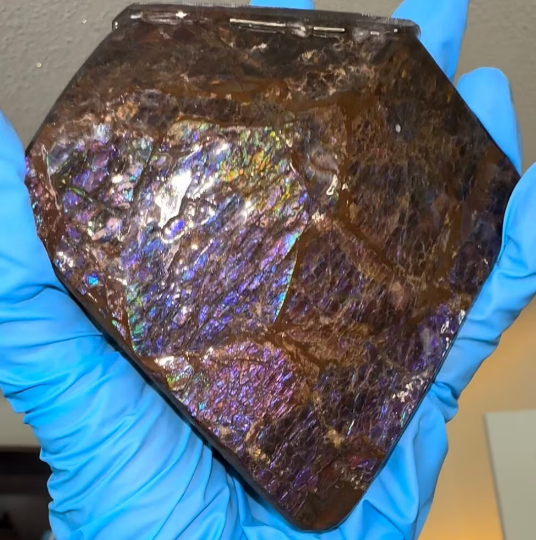 4.1" Ammolite Rough Coated Stone,Handheld Specimen 105mm, Rough,Fossil,Fengshui,Metaphysical,Home Decor Inactive　CS-247