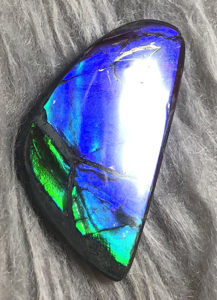 30 x 17 mm  Natural  Free Form . FFN 336 Ammolite  ナチュラル　ルース　アンモライト フリーフォーム