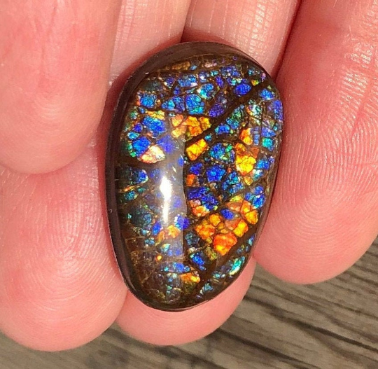 Reserved item FFC107  Coated  Freeform Cabochon 23x15mm  Loose Stone - アンモライト　ルース　
