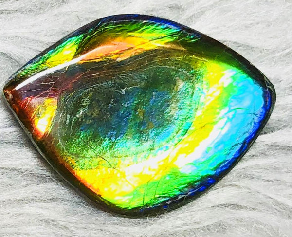35  x 26 mm  Natural  Free Form . FFN 332 Ammolite  ナチュラル　ルース　アンモライト