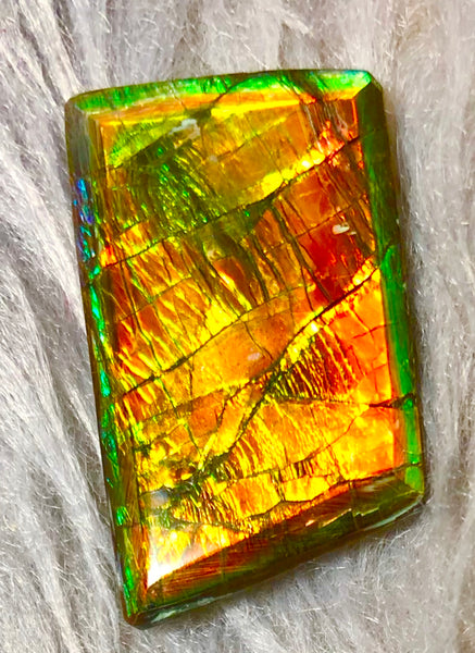 30 x 18 mm  Natural  Free Form . FFN 333 Ammolite  ナチュラル　ルース　アンモライト フリーフォーム