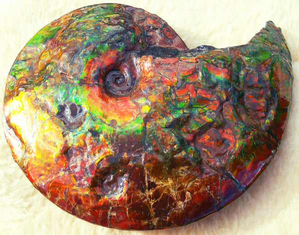 Double sided Rainbow Meeki