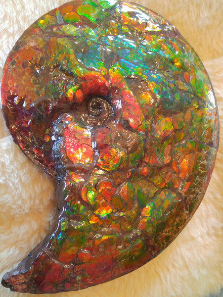 Double sided Rainbow Meeki