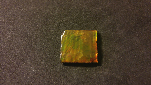 25 x 25 mm Coated Free Form - FFC 19 - アンモライト　ルース　フリーフォーム