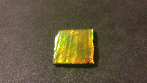 25 x 25 mm Coated Free Form - FFC 19 - アンモライト　ルース　フリーフォーム