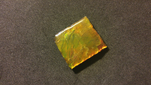 25 x 25 mm Coated Free Form - FFC 19 - アンモライト　ルース　フリーフォーム