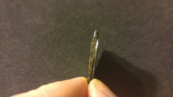 25 x 25 mm Coated Free Form - FFC 19 - アンモライト　ルース　フリーフォーム