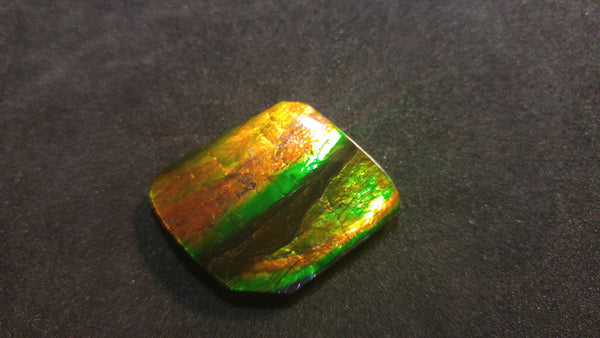 26 x 23 mm Natural Free Form - FFN 5 - フリーフォーム　ナチュラルポーリッシュ