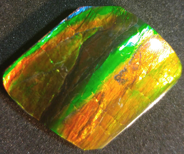 26 x 23 mm Natural Free Form - FFN 5 - フリーフォーム　ナチュラルポーリッシュ