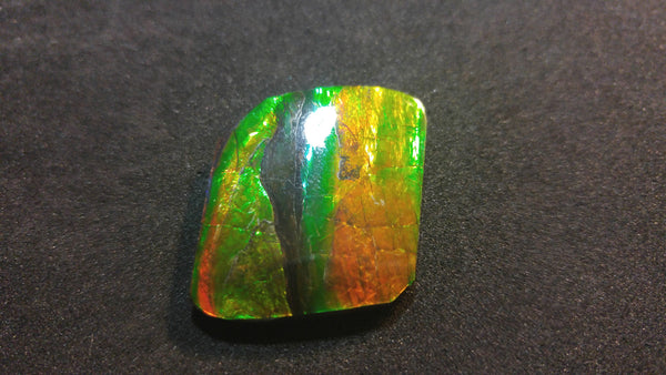 26 x 23 mm Natural Free Form - FFN 5 - フリーフォーム　ナチュラルポーリッシュ