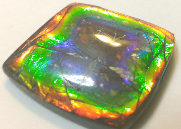 33 x 28  mm Natural Free Form - FFN 8　Ammolite　レインボーカラー発色　ナチュラル　ルース