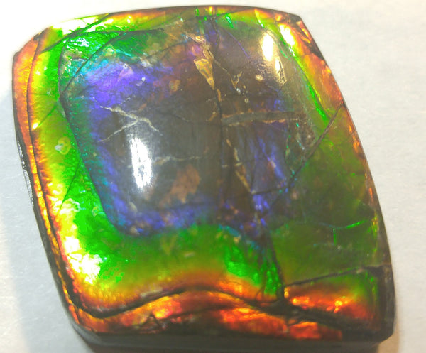 33 x 28  mm Natural Free Form - FFN 8　Ammolite　レインボーカラー発色　ナチュラル　ルース