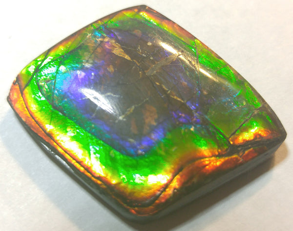 33 x 28  mm Natural Free Form - FFN 8　Ammolite　レインボーカラー発色　ナチュラル　ルース