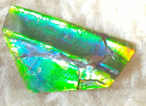 SALE!! 40%OFF  49.5 mm x 23 mm - IMP-09