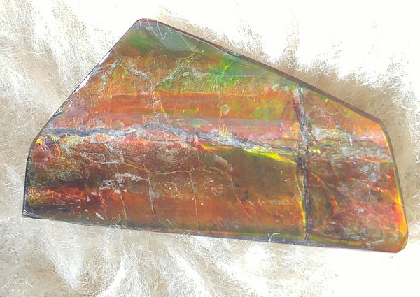 SALE!! 40%OFF  49.5 mm x 23 mm - IMP-09