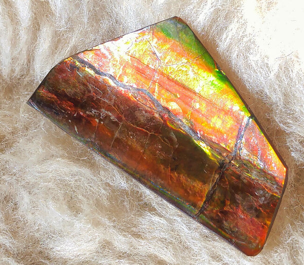 SALE!! 40%OFF  49.5 mm x 23 mm - IMP-09