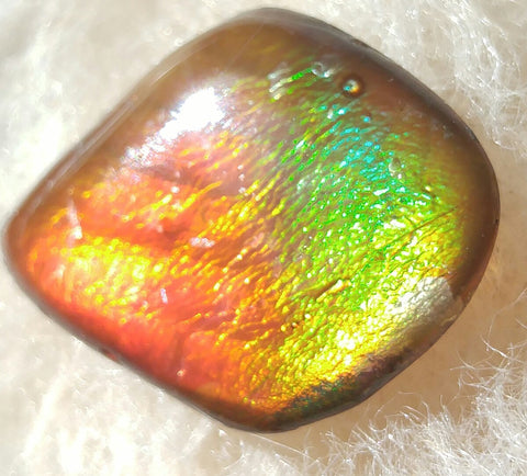 22 mm x 17 mm - IMP-11