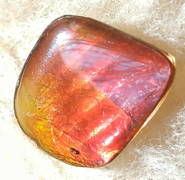 22 mm x 17 mm - IMP-11