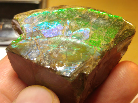 5 cm x 4 cm x 3 cm  - RS-01