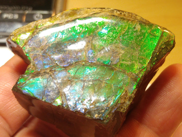 5 cm x 4 cm x 3 cm  - RS-01