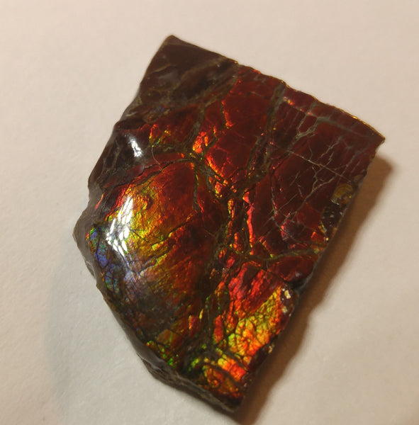 20 mm x 25 mm - RS-4