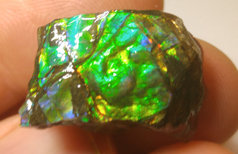 20 mm x 15 mm - RS-5