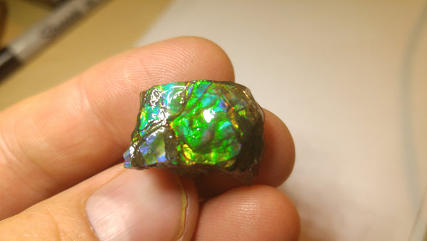 20 mm x 15 mm - RS-5