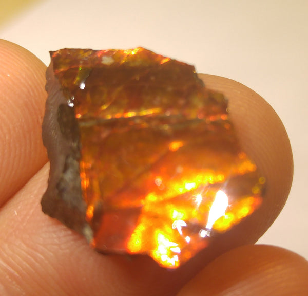 20 mm x 15 mm - RS-7