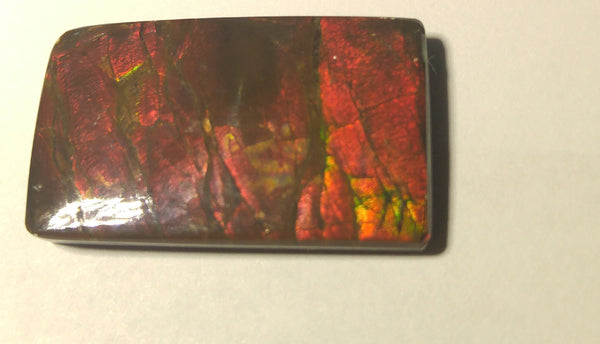 29 mm x 18 mm Natural Free Form - FFN 21 - フリーフォーム　ナチュラルポーリッシュ