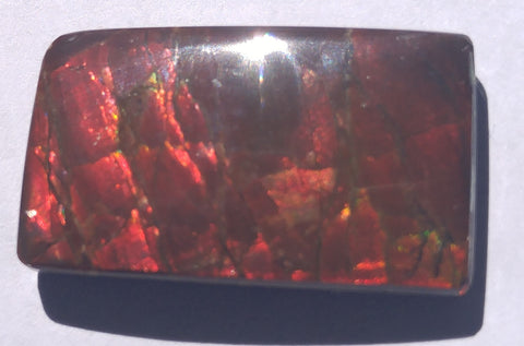 29 mm x 18 mm Natural Free Form - FFN 21 - フリーフォーム　ナチュラルポーリッシュ