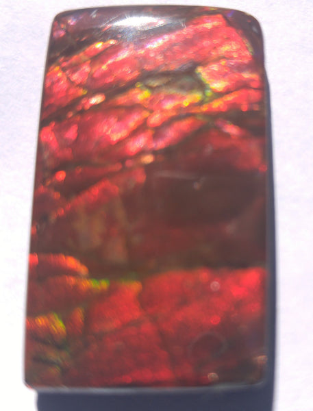 29 mm x 18 mm Natural Free Form - FFN 21 - フリーフォーム　ナチュラルポーリッシュ