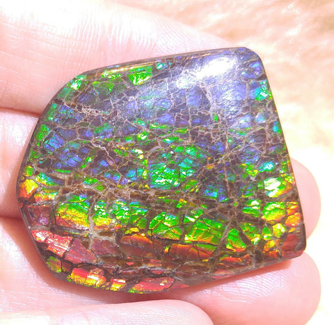 34 mm x 29 mm Natural Free Form - FFN 14 - フリーフォーム　ナチュラルポーリッシュ