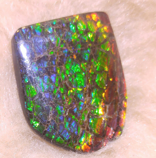 34 mm x 29 mm Natural Free Form - FFN 14 - フリーフォーム　ナチュラルポーリッシュ