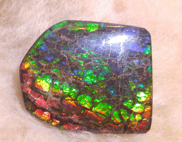 34 mm x 29 mm Natural Free Form - FFN 14 - フリーフォーム　ナチュラルポーリッシュ