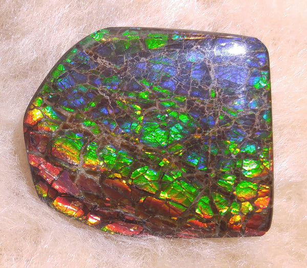 34 mm x 29 mm Natural Free Form - FFN 14 - フリーフォーム　ナチュラルポーリッシュ